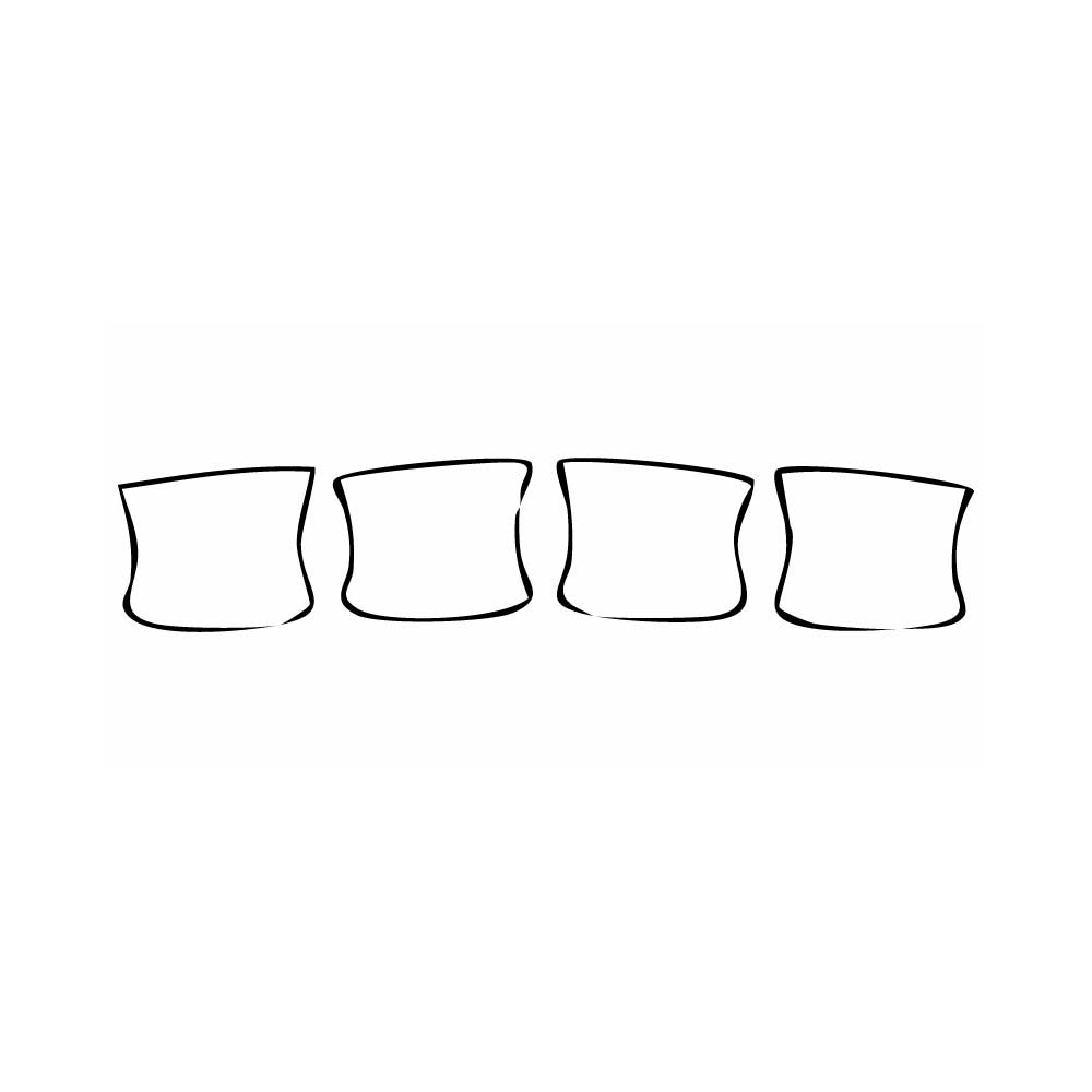 Pre-cut PPF pattern: Door Handle Inserts - BYD