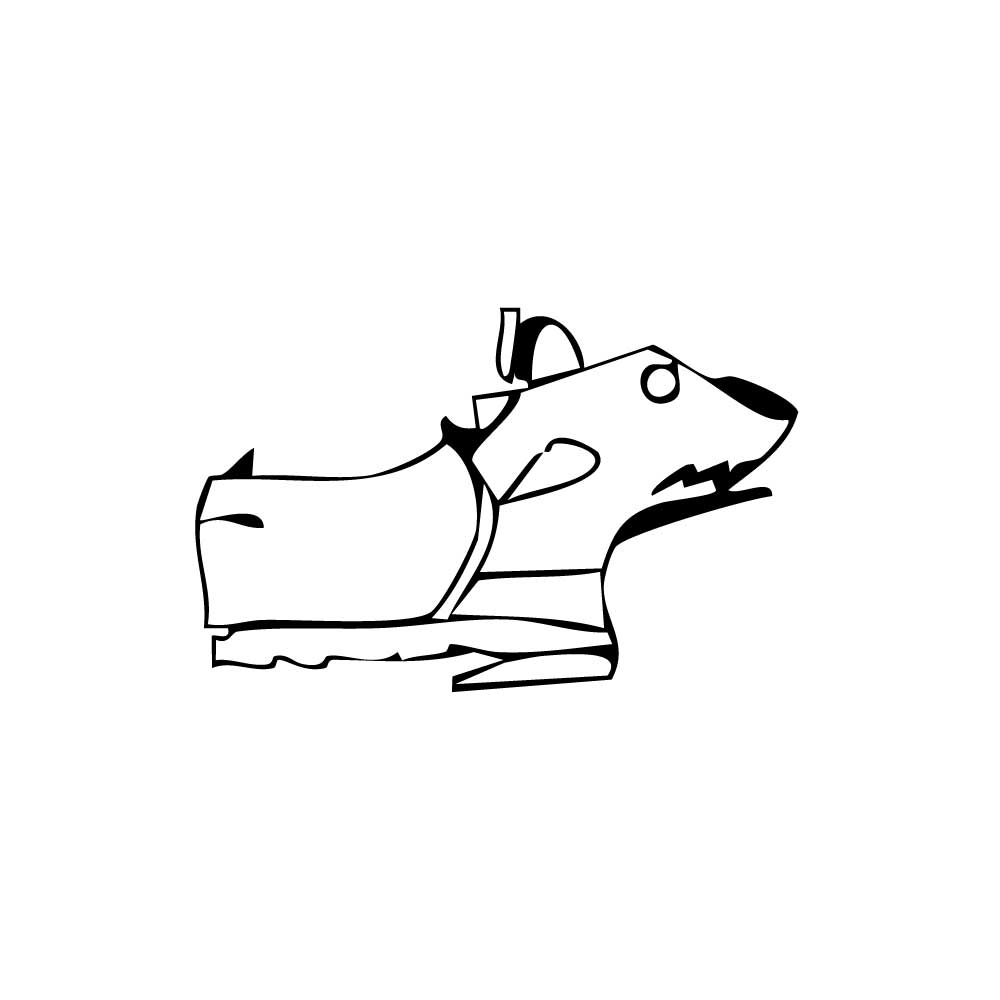 Pre-Cut PPF Ferrari SF90 XX Stradale 2024 - PPF-Kits