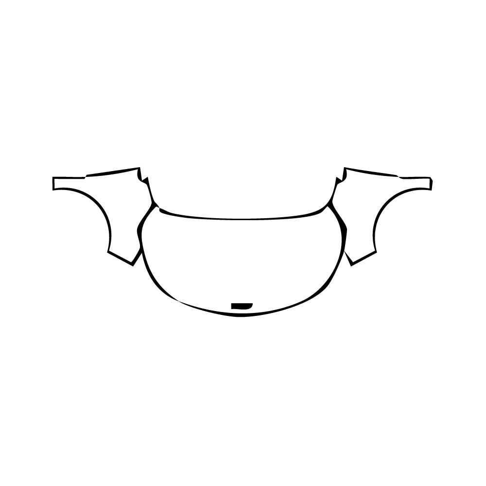 Pre-Cut PPF KIA Carnival (US) SX 2024 - PPF-Kits