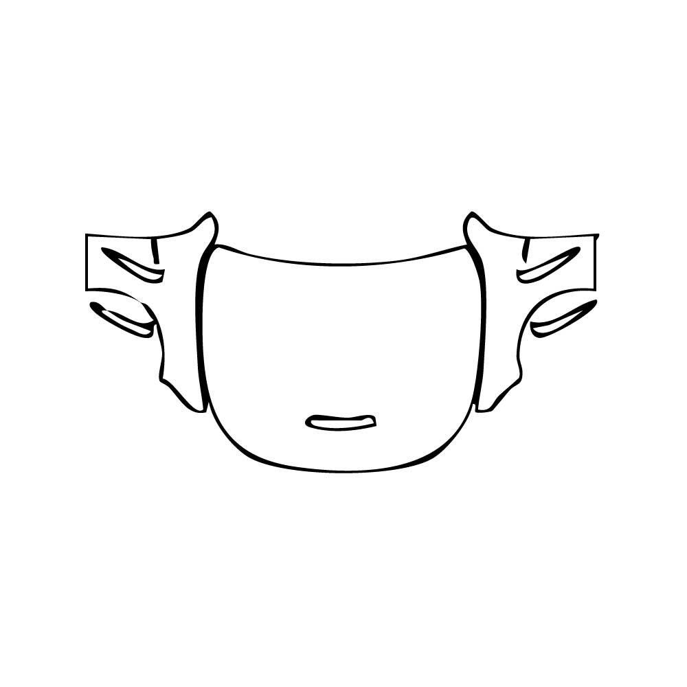 Pre-Cut PPF Mercedes-Benz CLE Coupe AMG CLE 53 2024 - PPF-Kits