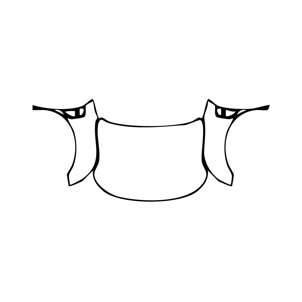 Pre-Cut PPF Nissan Armada (US) PRO-4X 2025 - PPF-Kits