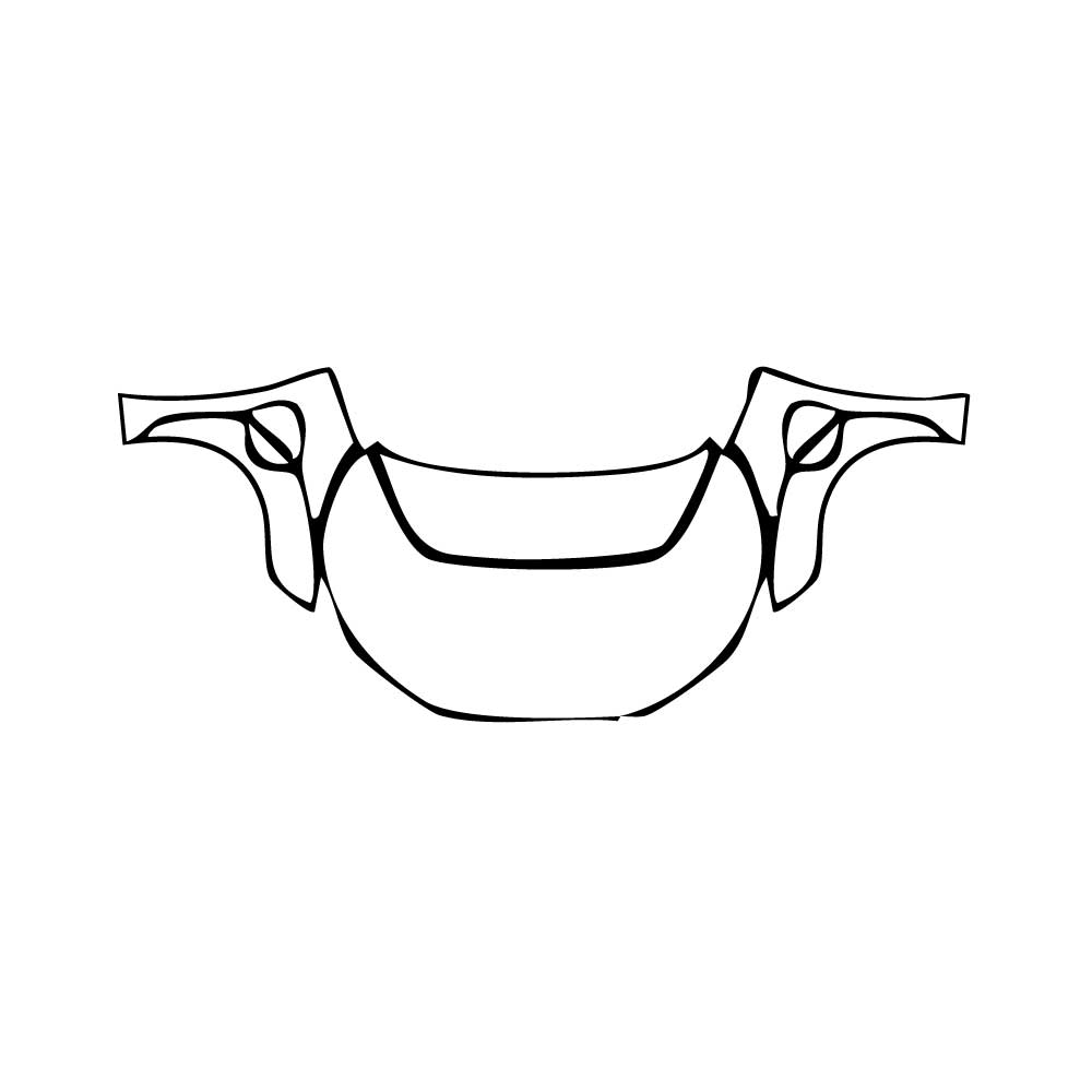 Pre-Cut PPF Toyota bZ4X 2025 - PPF-Kits