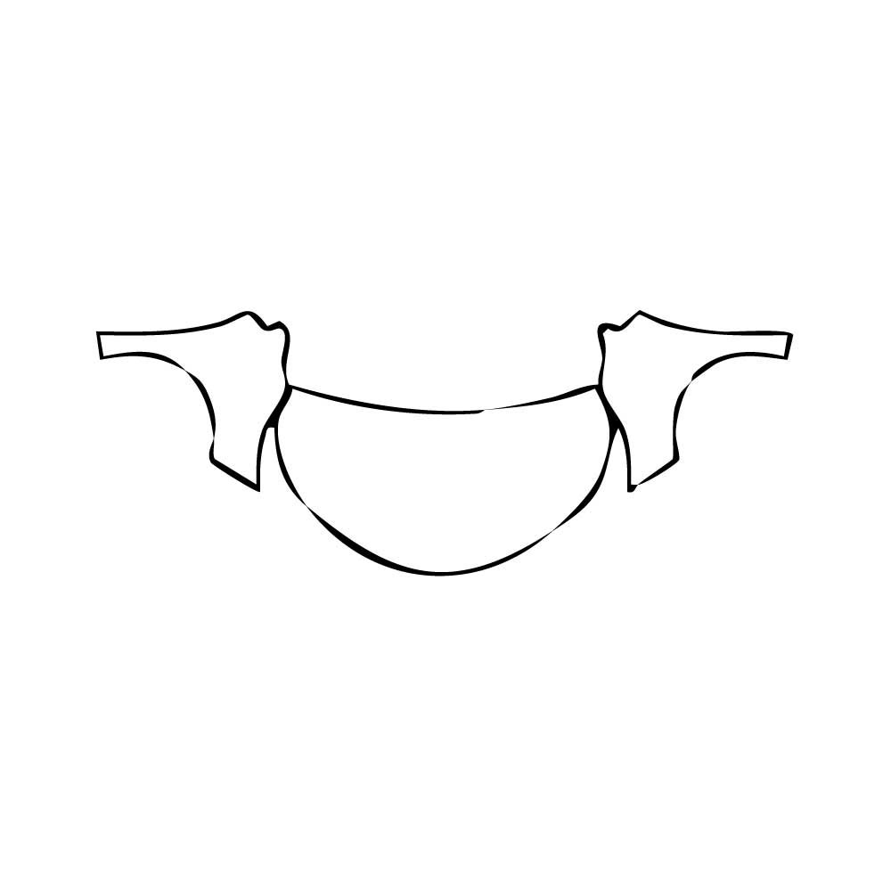 Pre-cut PPF pattern: Hood + Fender - Toyota