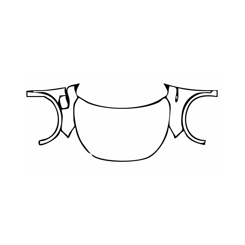 Pre-Cut PPF BYD Yuan Plus 2024 - PPF-Kits