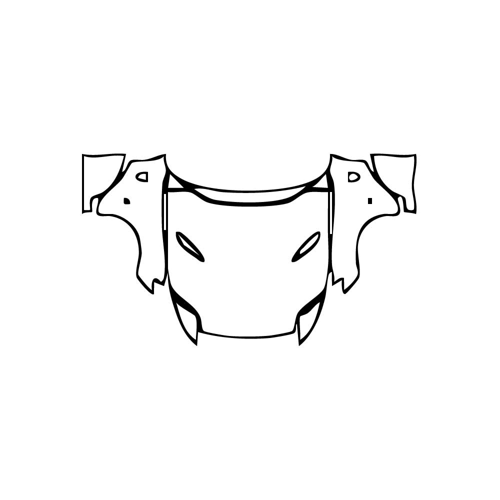 Pre-Cut PPF Ferrari 812 GTS 2024 - PPF-Kits