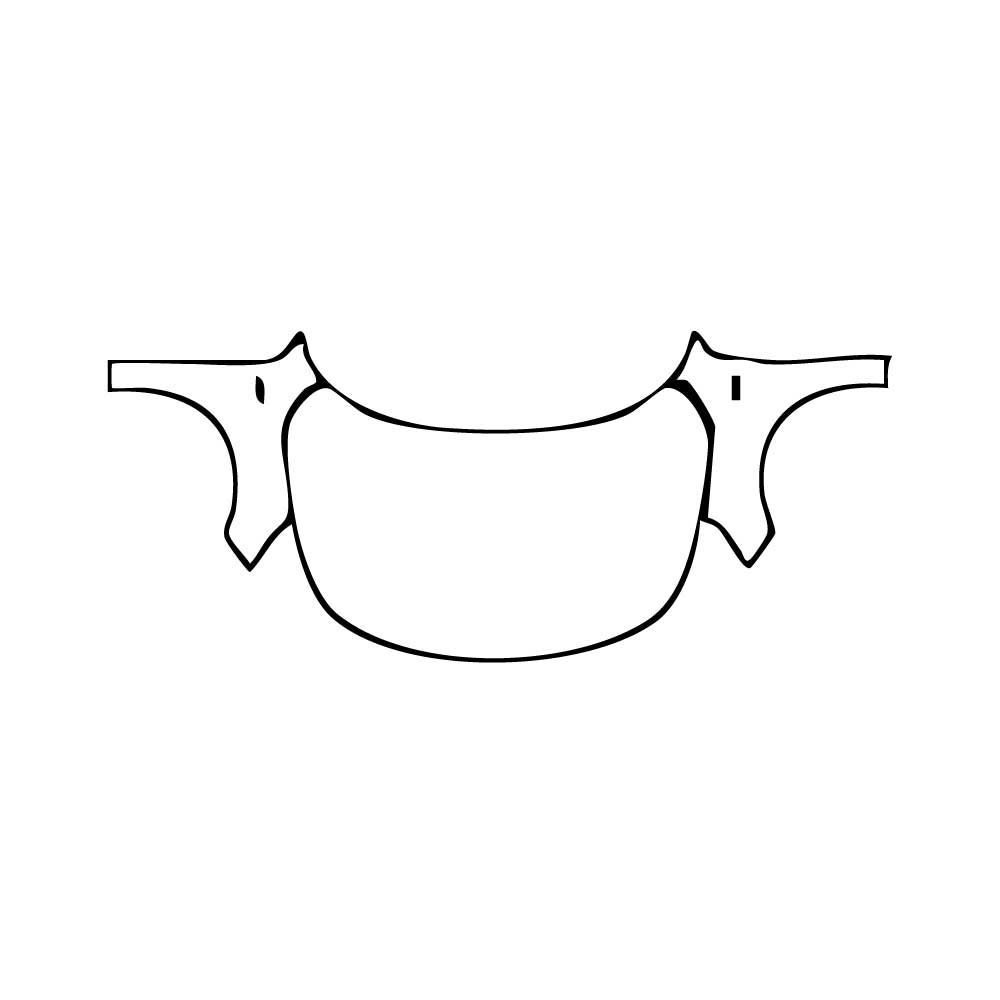 Pre-Cut PPF Ford Focus Estate ST-line 2024 - PPF-Kits