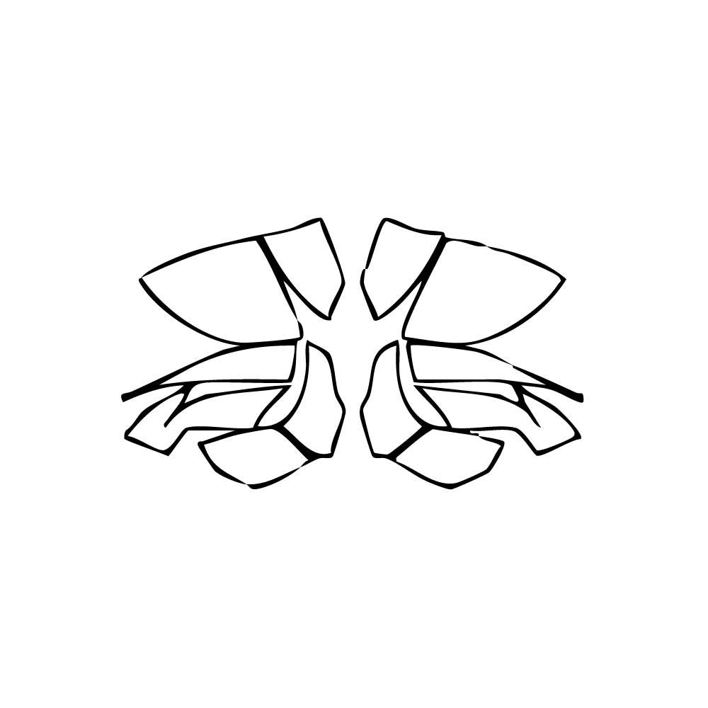 Pre-Cut PPF Lamborghini Revuelto 2024 - PPF-Kits