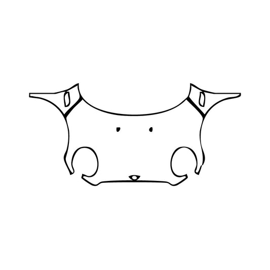 Pre-Cut PPF MINI MINI Convertible Cooper Base 2024 - PPF-Kits