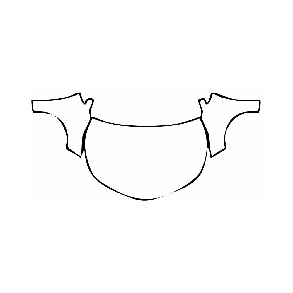 Pre-Cut PPF Toyota Corolla (EU) Sedon 2022 - PPF-Kits