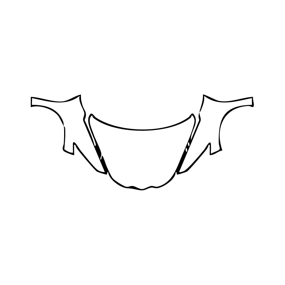 Pre-Cut PPF Chevrolet Corvette Stingray Convertible 2020 - PPF-Kits