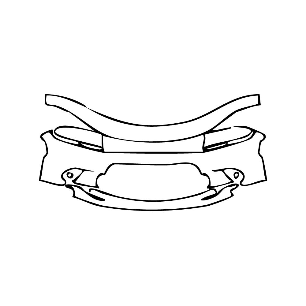 Pre-Cut PPF Dodge Charger Standard body SCAT PACK 2019 - PPF-Kits