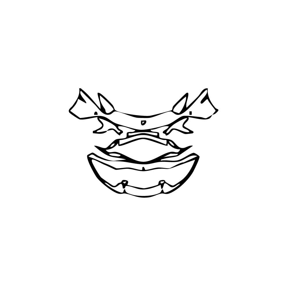 Pre-Cut PPF Lamborghini Aventador Avendator S Coupe 2017 - PPF-Kits