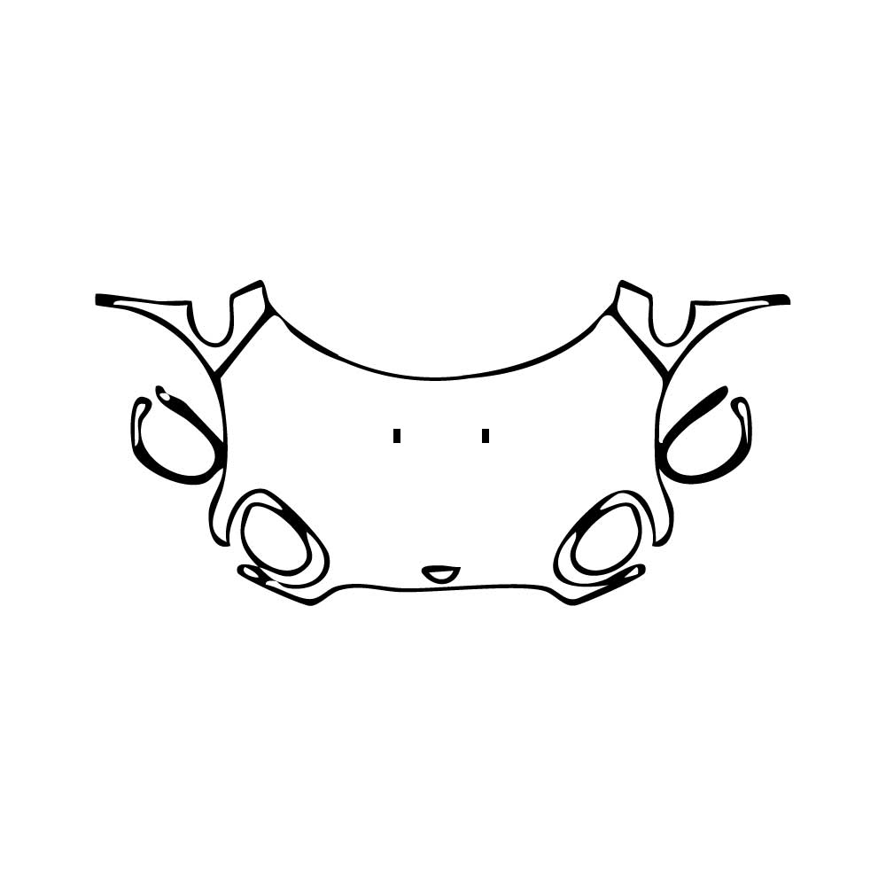 Pre-Cut PPF MINI MINI Countryman John Cooper Works (JCW) 2021 - PPF-Kits