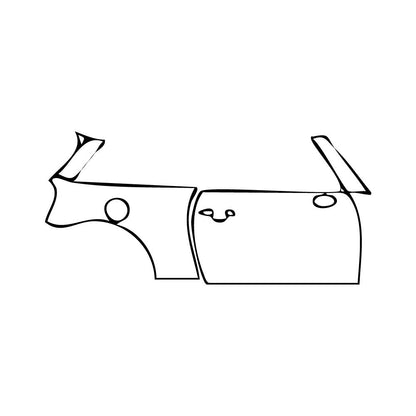 Pre-Cut PPF MINI MINI Hardtop 2 Door Cooper S Base 2021 - PPF-Kits