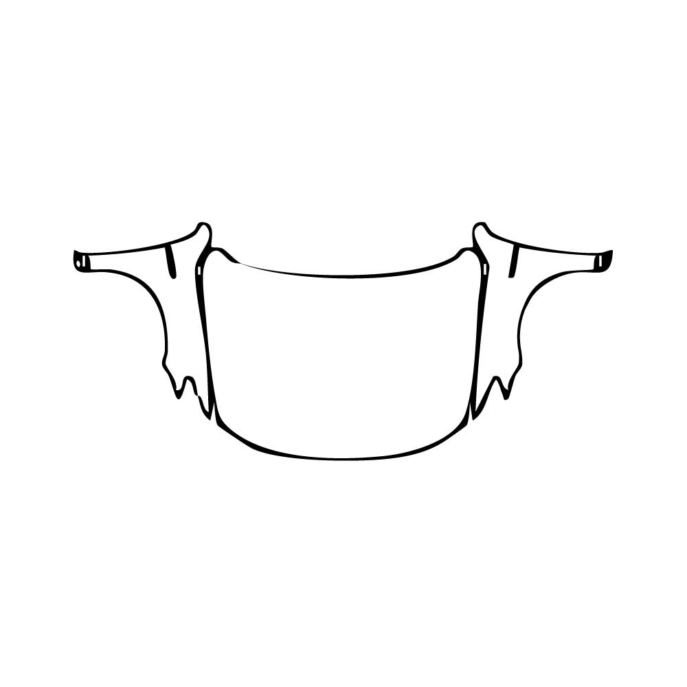 Pre-Cut PPF Volkswagen Magotan 2020 - PPF-Kits