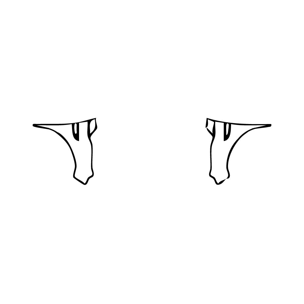 Pre-Cut PPF Land Rover Discovery Sport SE 2015 - PPF-Kits