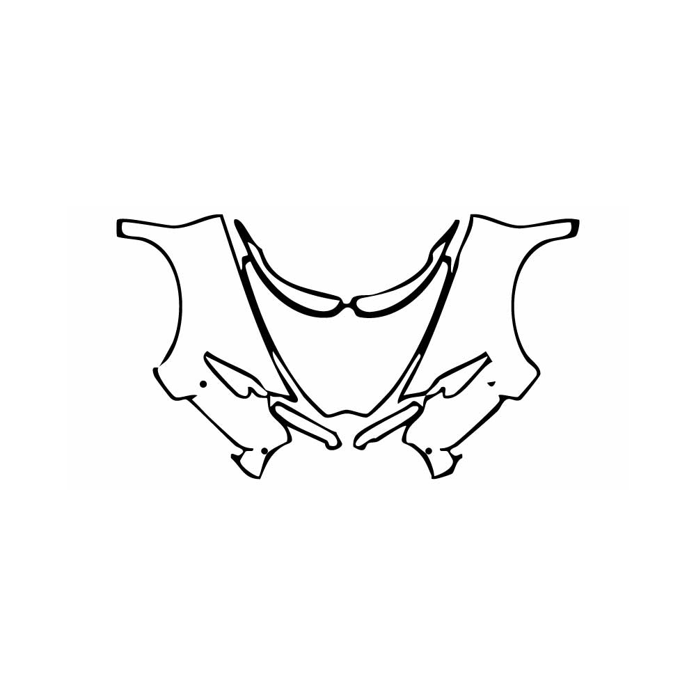 Pre-Cut PPF Bugatti Chiron Chiron Sport 2018 - PPF-Kits