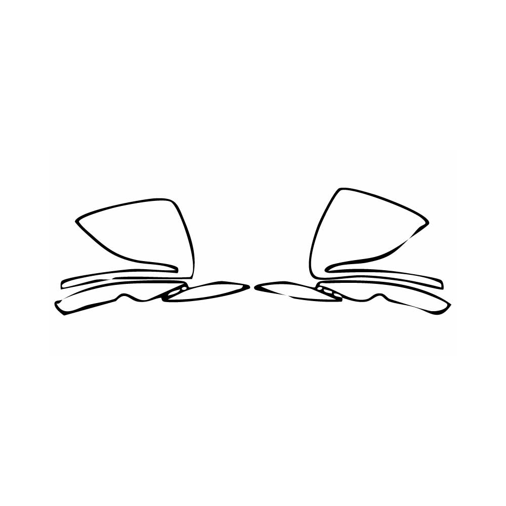 Pre-cut PPF pattern: Mirror - Mercedes-Benz