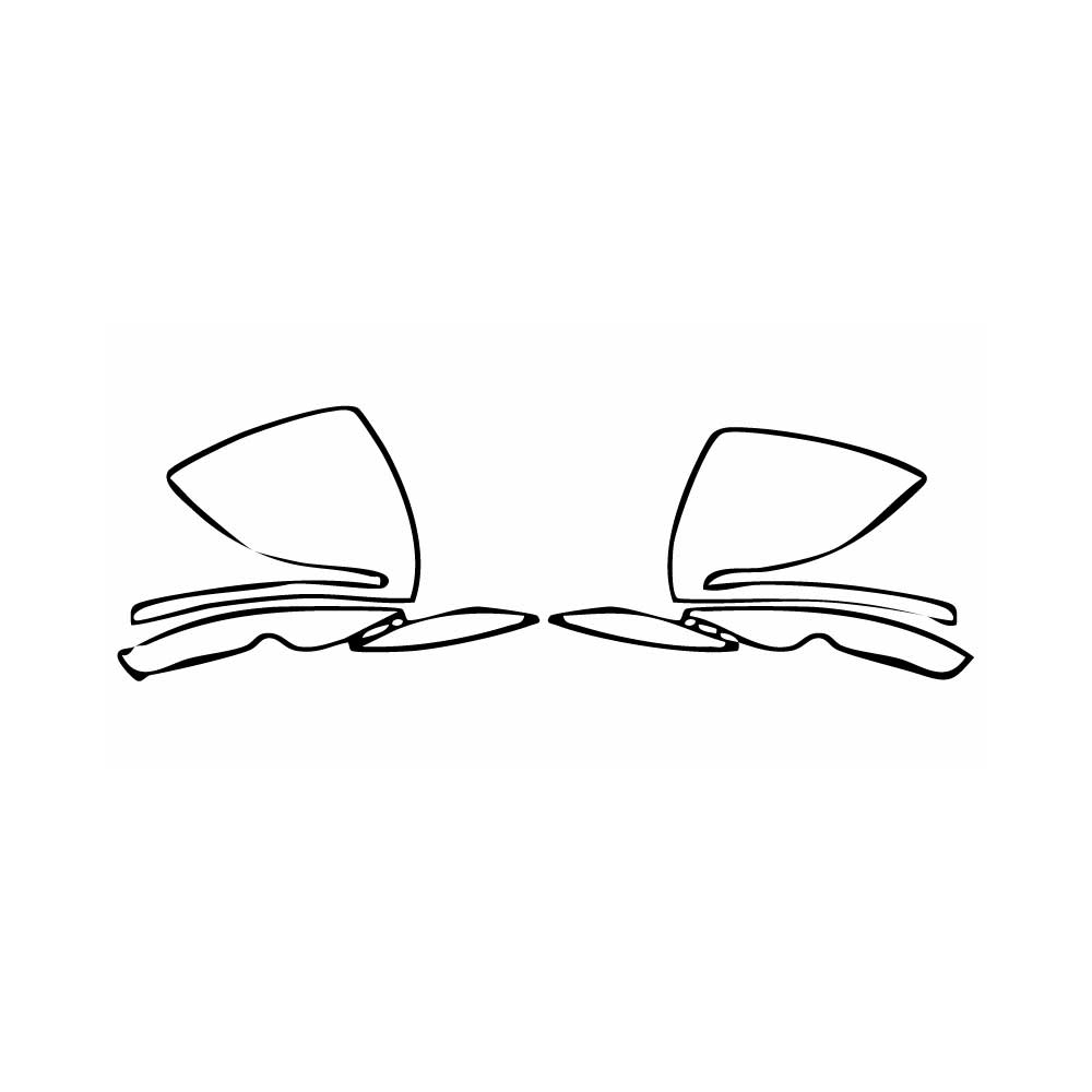 Pre-cut PPF pattern: Mirror - Mercedes-Benz