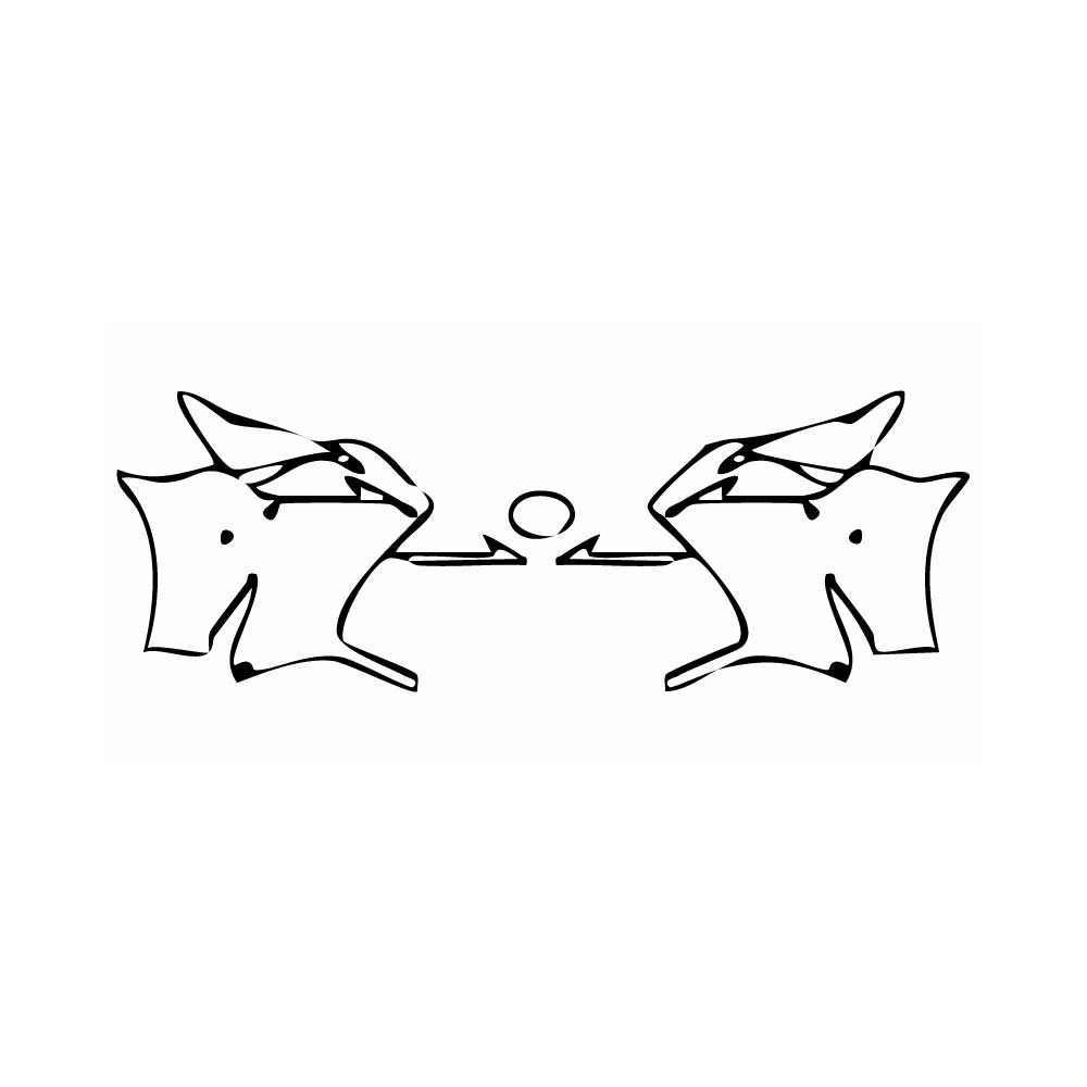 Pre-Cut PPF Lexus RC F-Sport 2015 - PPF-Kits