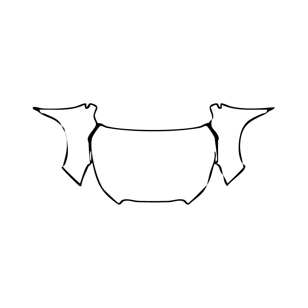 Pre-Cut PPF Subaru Forester (US) Base 2018 - PPF-Kits