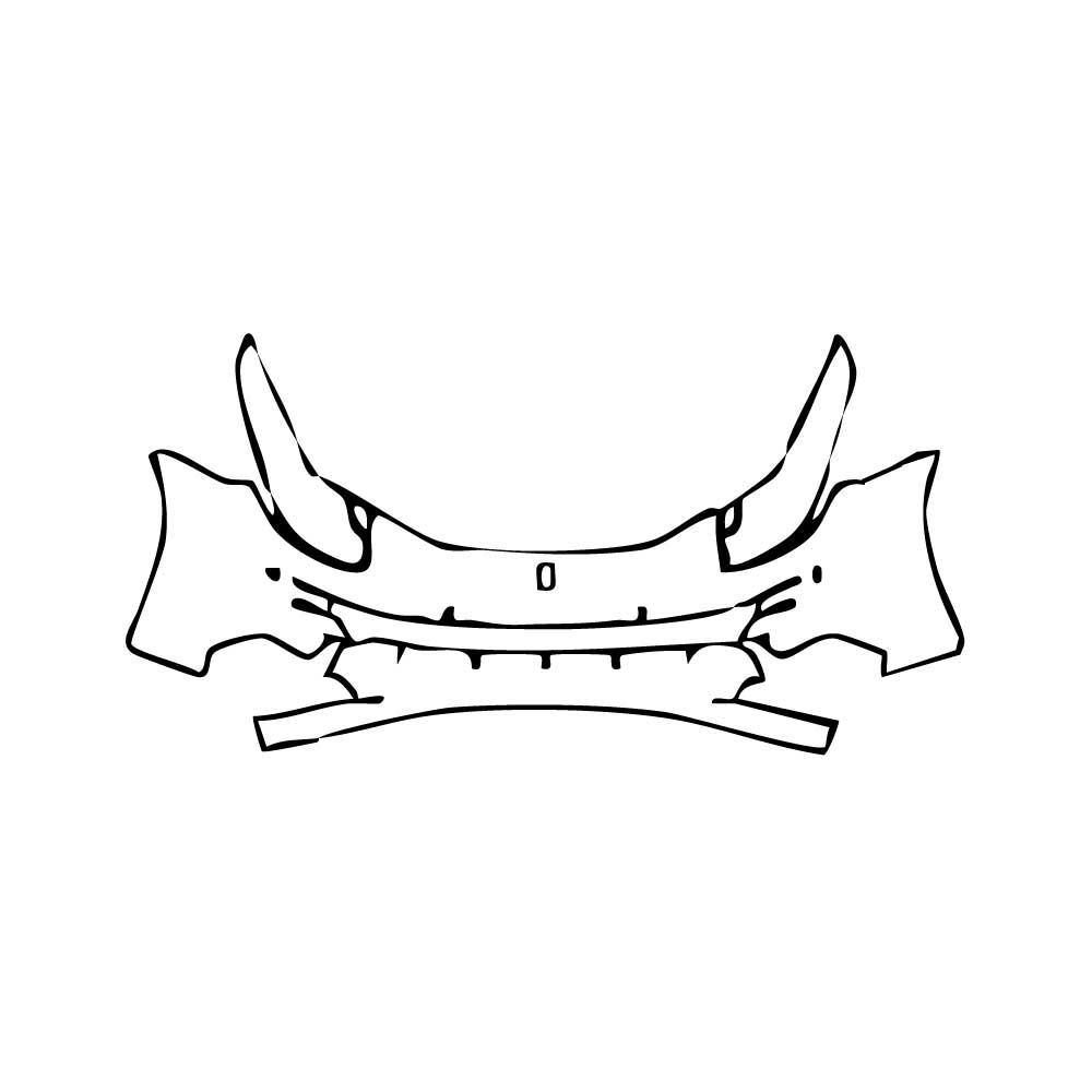 Pre-Cut PPF Ferrari FF 2012 - PPF-Kits