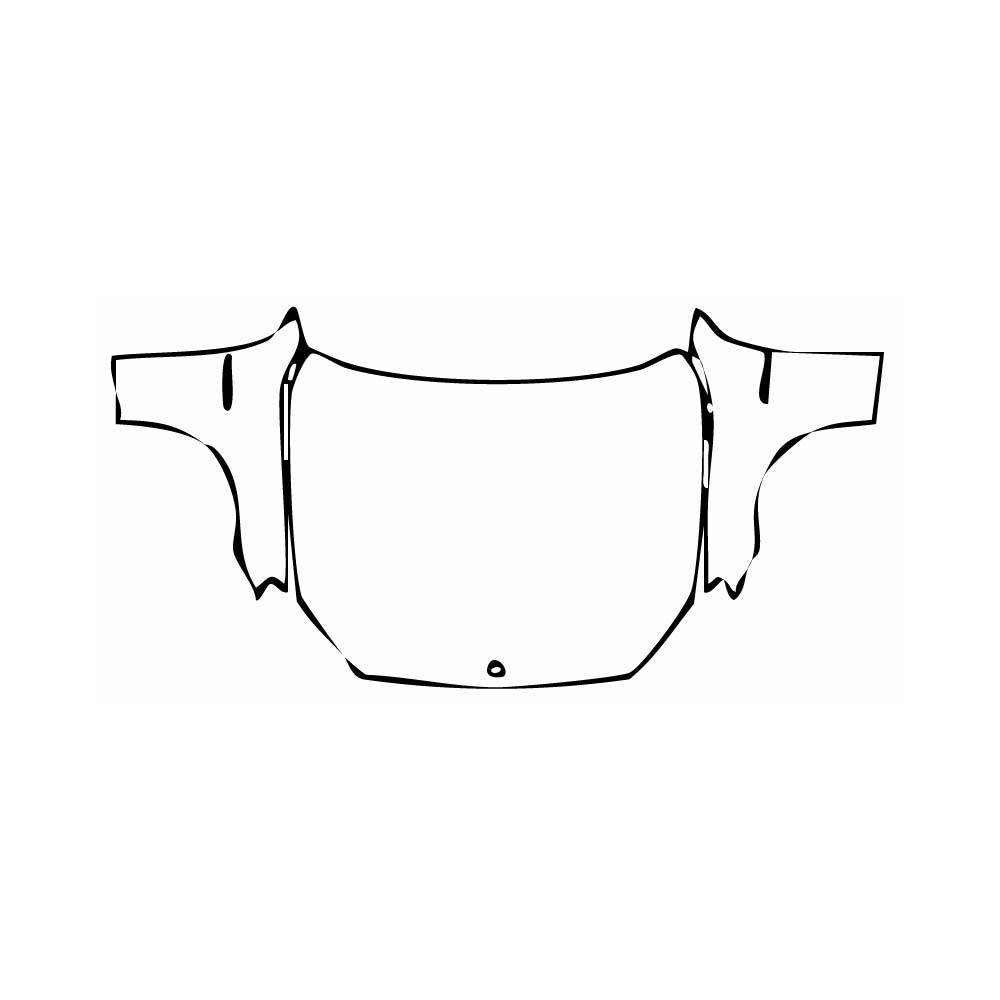 Pre-cut PPF pattern: Hood + Fender - Mercedes-Benz