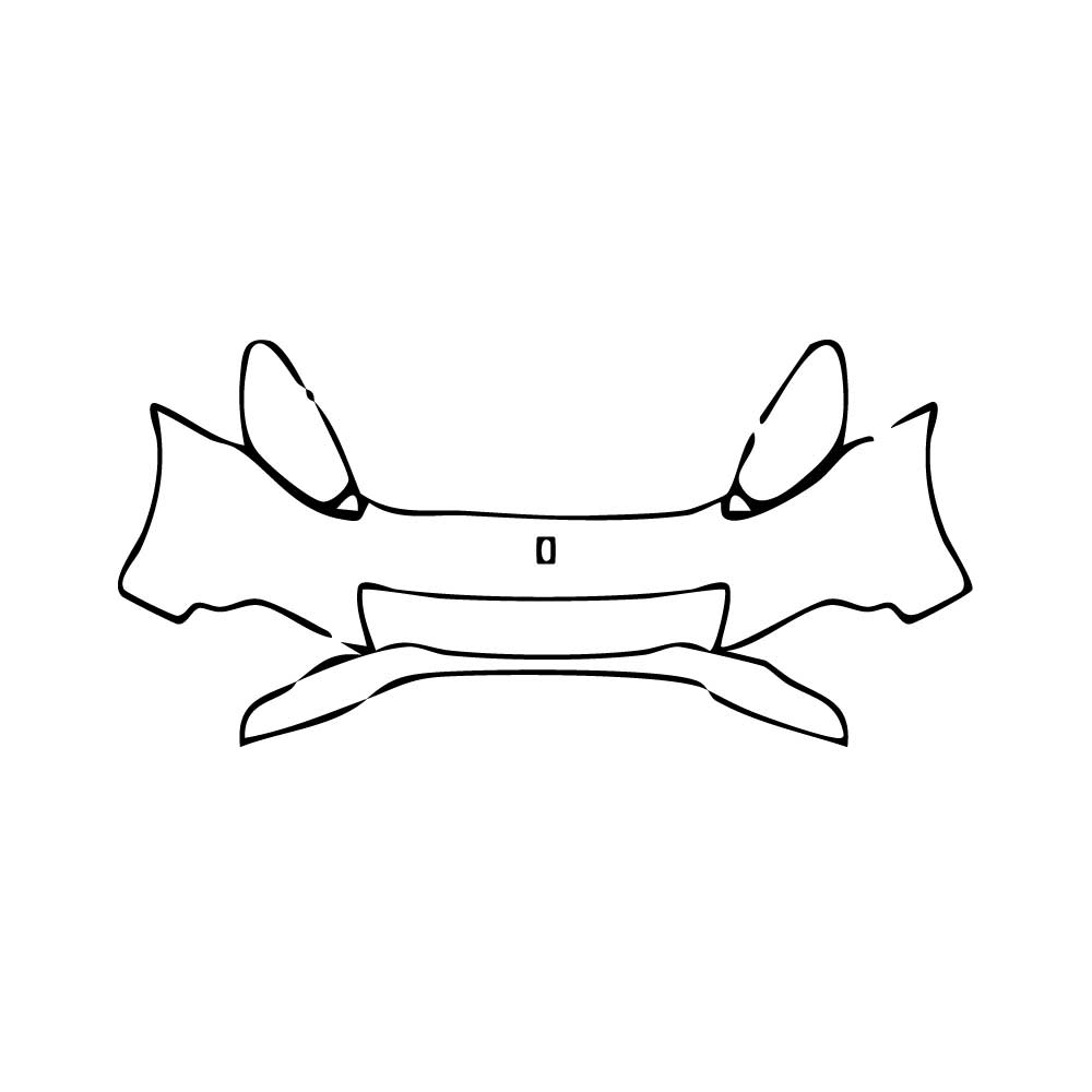 Pre-Cut PPF Ferrari California 2009 - PPF-Kits