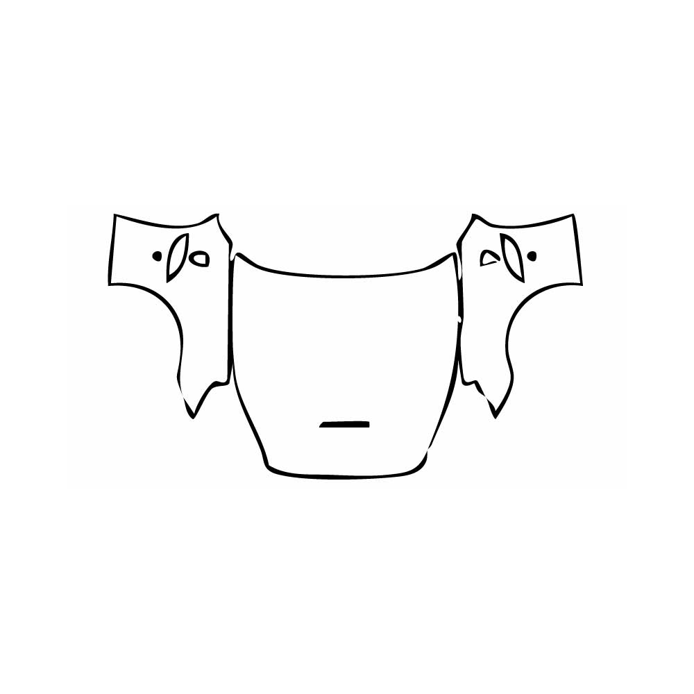 Pre-Cut PPF Ferrari California 2009 - PPF-Kits