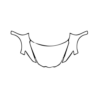 Pre-Cut PPF Chevrolet Corvette E-Ray Coupe 2025 - PPF-Kits