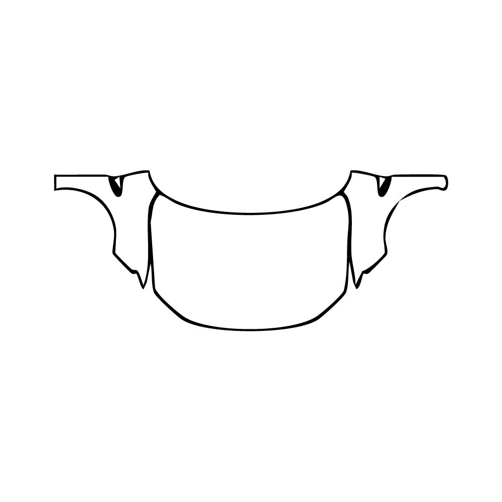 Pre-Cut PPF BYD Seal 06GT EV 2025 - PPF-Kits