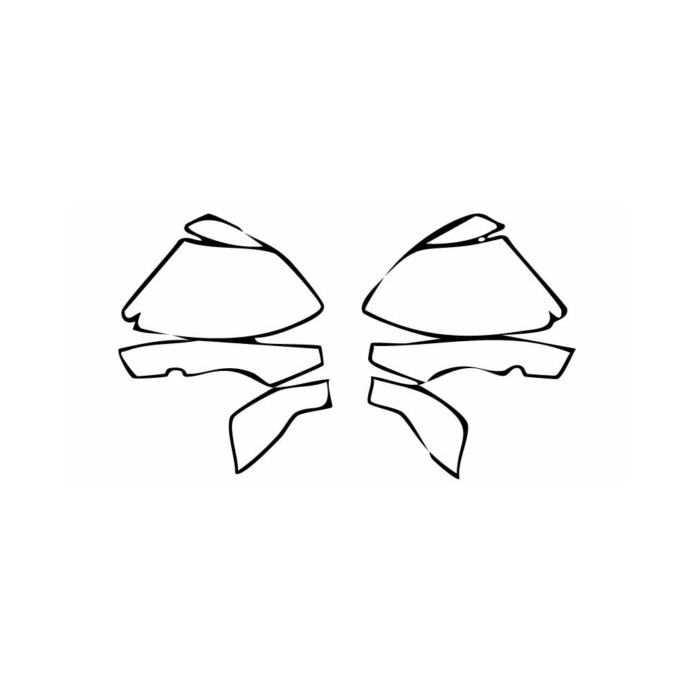 Pre-Cut PPF Dodge Charger Daytona 2-Door Scat Pack 2025 - PPF-Kits