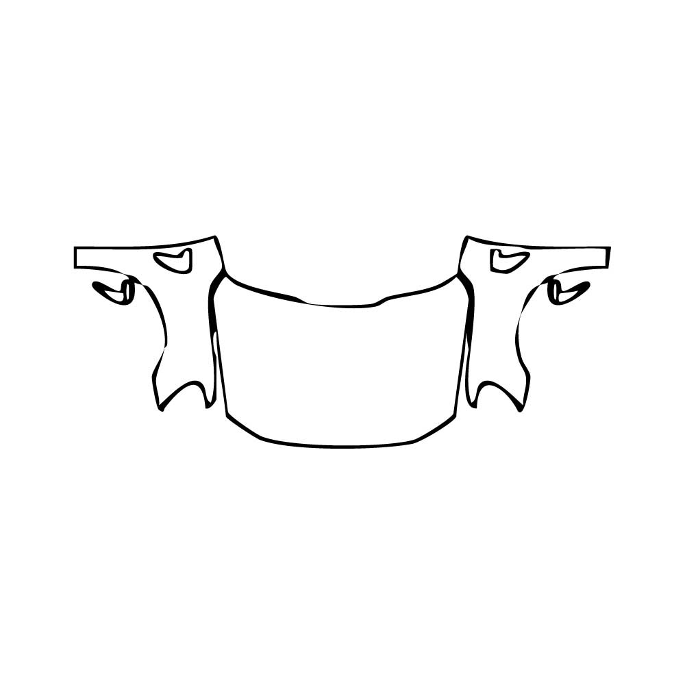 Pre-Cut PPF Ford F-150 SuperCrew Lariat 2025 - PPF-Kits