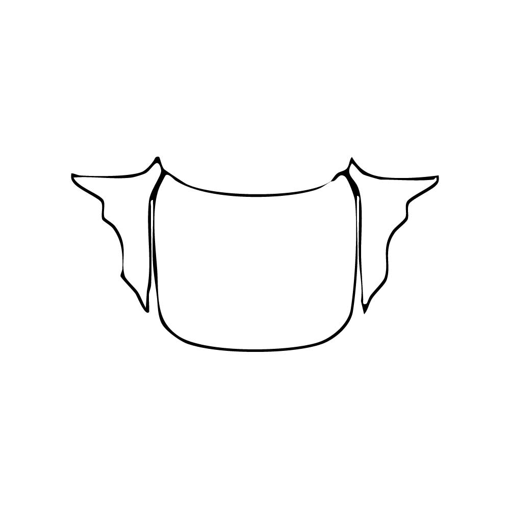 Passgenaue Lackschutzfolien PPF BMW 4 Series Gran Coupe Sport 2025