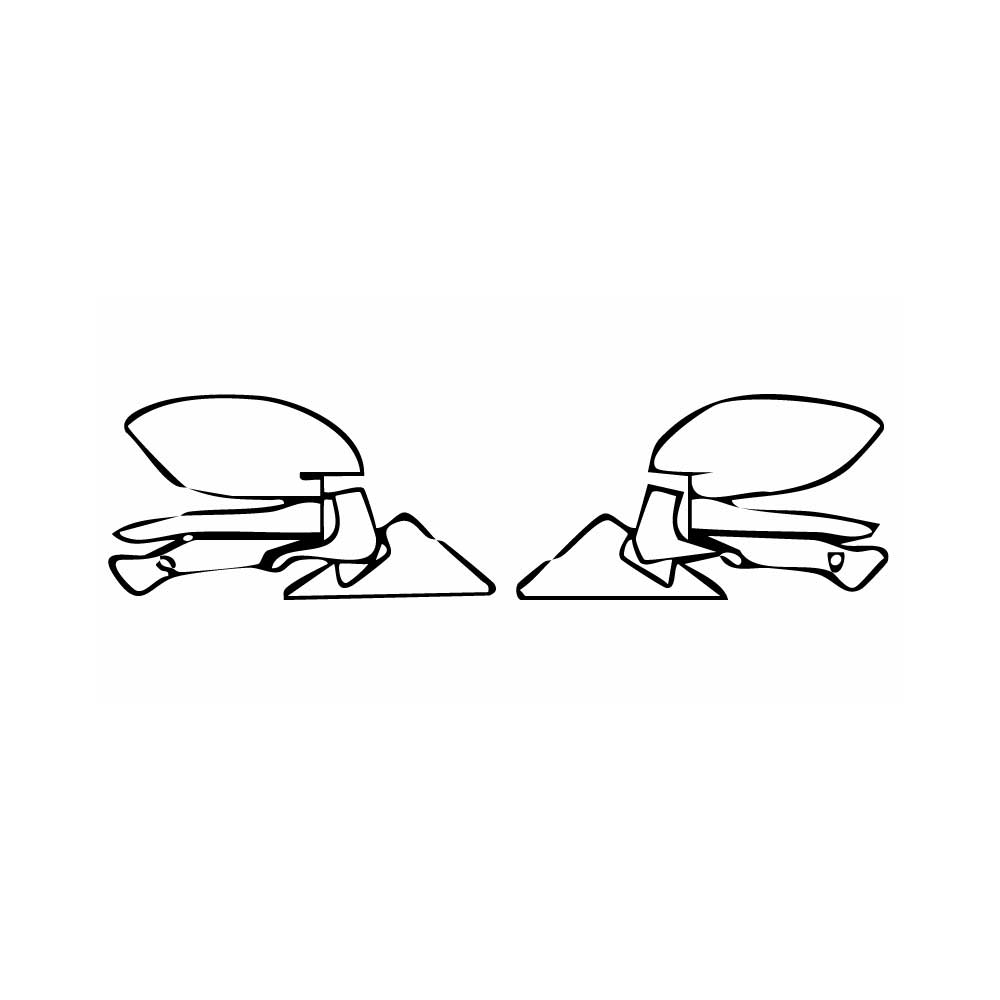 Passgenaue Lackschutzfolien PPF BMW 4 Series Gran Coupe M Sport 2025