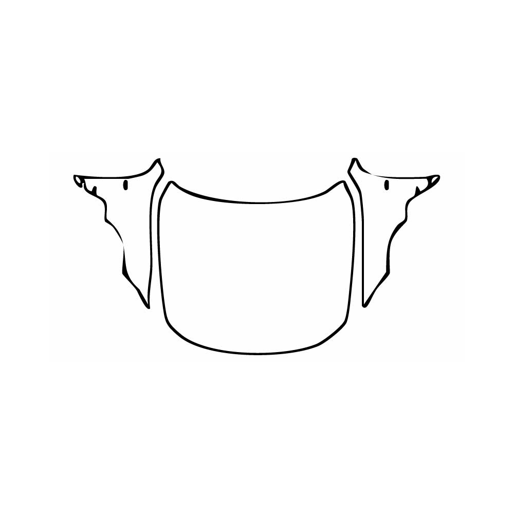 Passgenaue Lackschutzfolien PPF BMW 4 Series Gran Coupe M Sport 2025