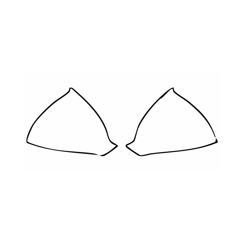 Passgenaue Lackschutzfolien PPF Cupra Formentor 2025