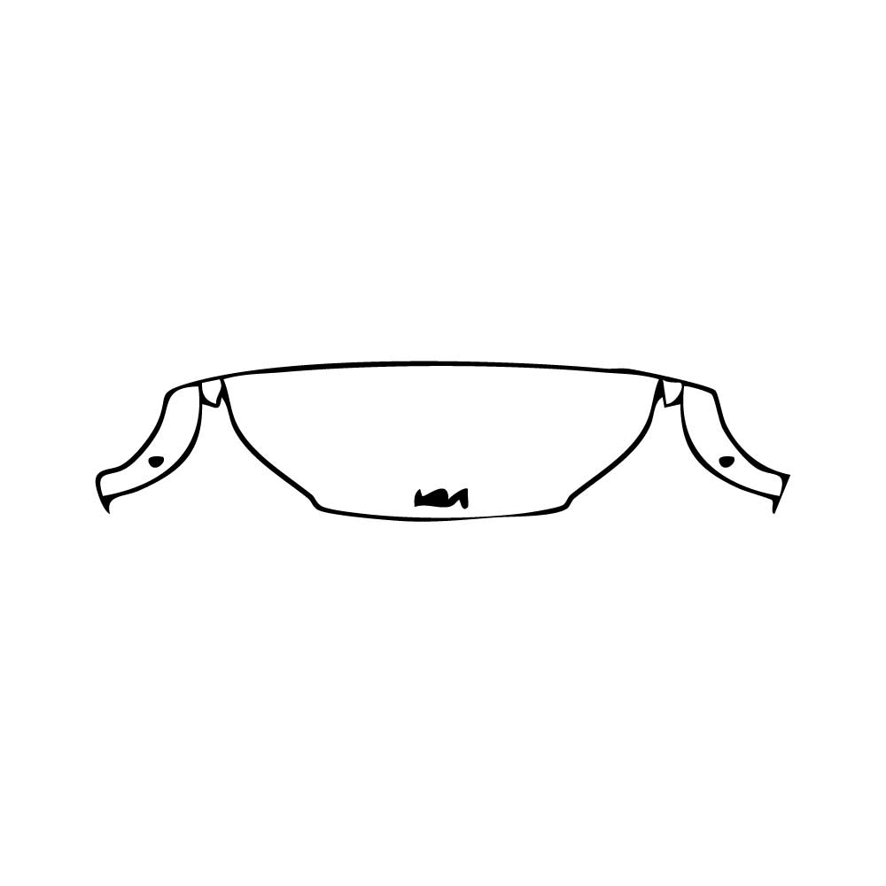 Passgenaue Lackschutzfolien PPF KIA EV3 GT-Line 2025