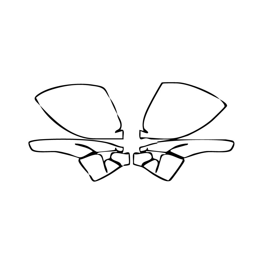 Passgenaue Lackschutzfolien PPF Porsche 718 Cayman Cayman GT4RS 2025