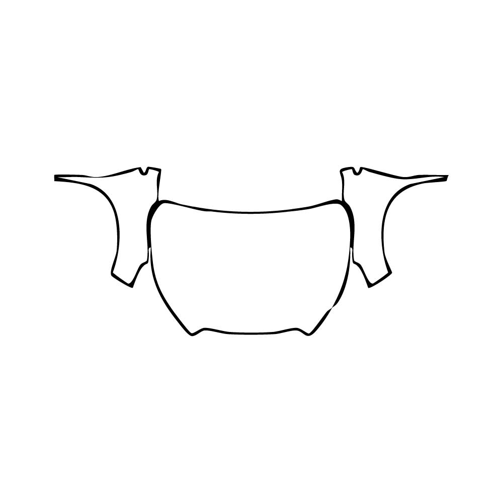 Passgenaue Lackschutzfolien PPF Subaru Ascent (US) Touring 2025