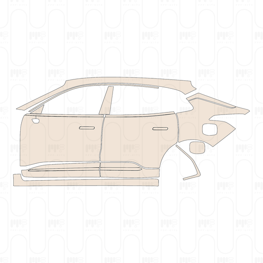 Pre-Cut PPF Zeekr 001 2022
