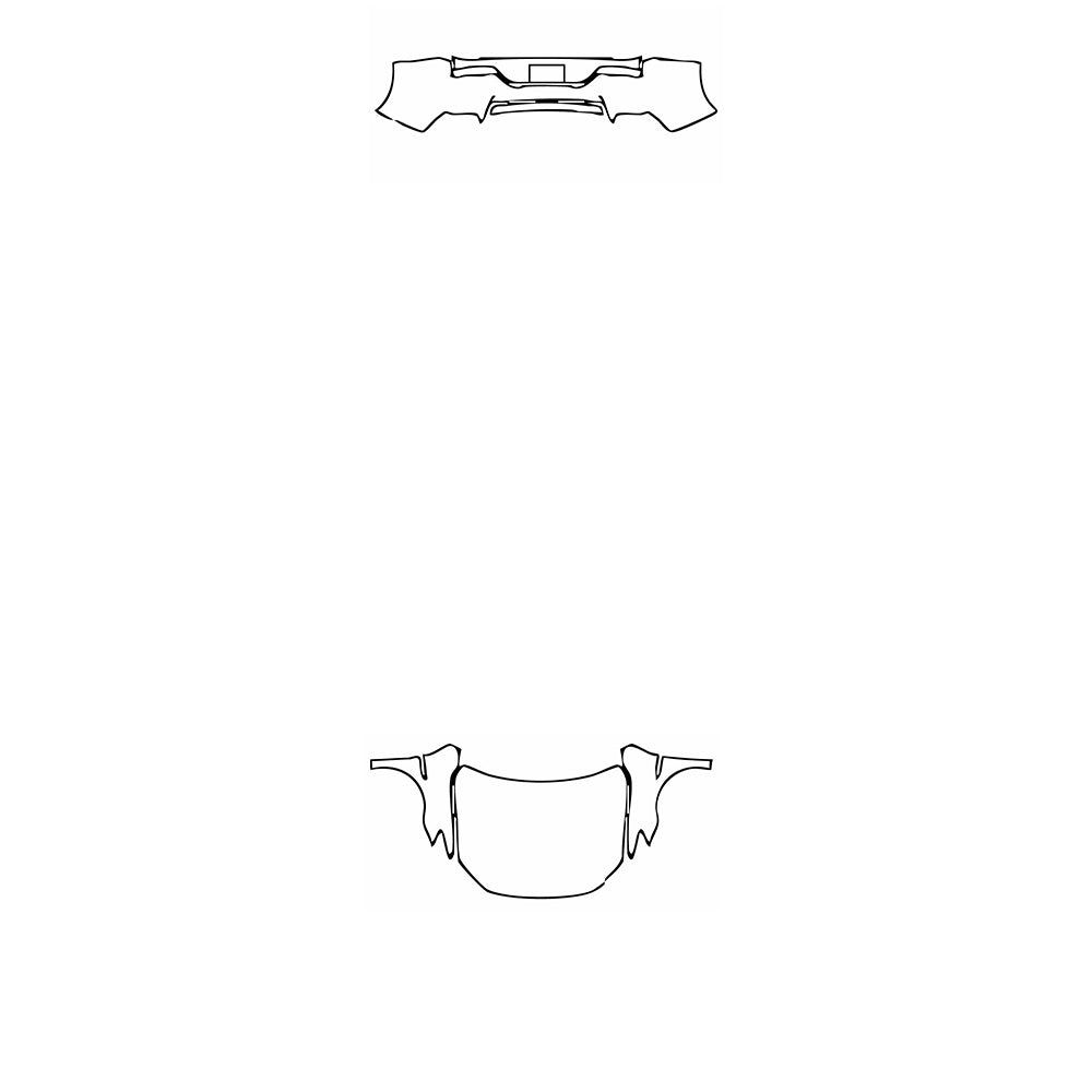 Pre-Cut PPF BYD Qin Pro New Energy 2020 - PPF-Kits