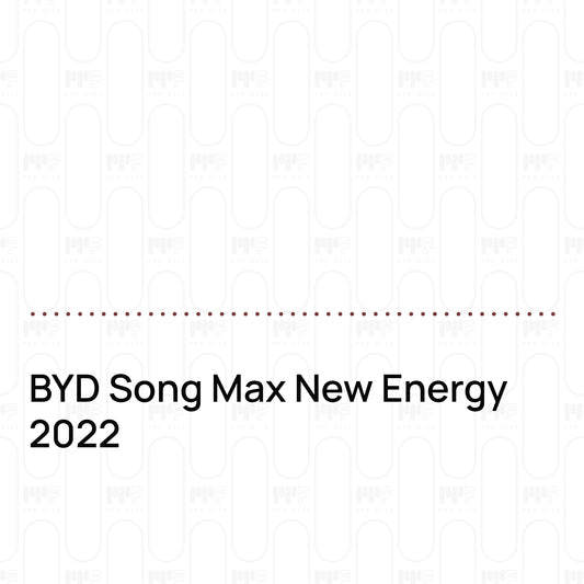 Pre-Cut PPF BYD Song Max New Energy 2022