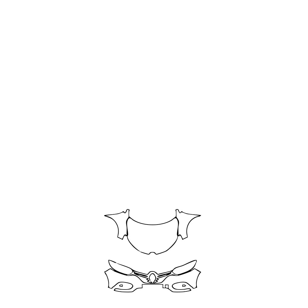 Pre-Cut PPF Renault Kadjar Techno 2022 - PPF-Kits